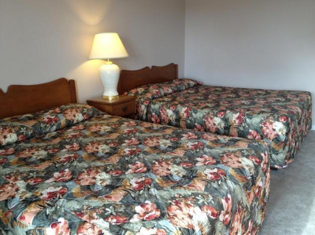 Lotus Motel Cobourg Kültér fotó
